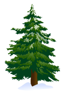 Green Tree With Snow