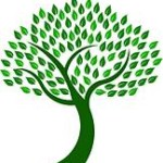 Green Tree2