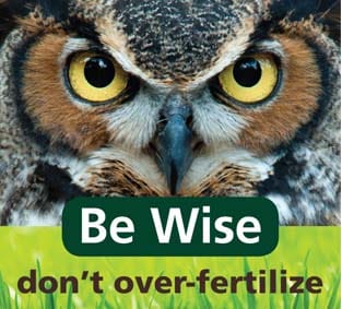 Be Wise Don't Over Fertilizer