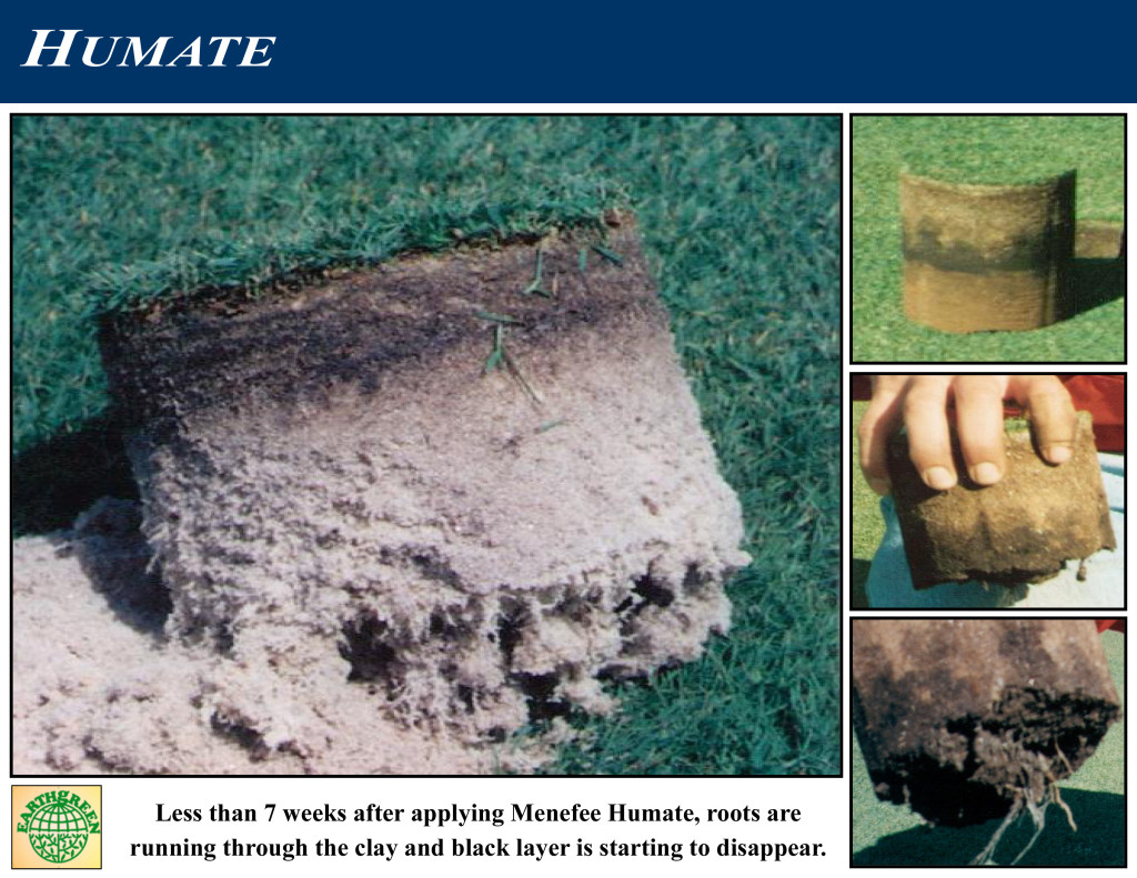 Humate