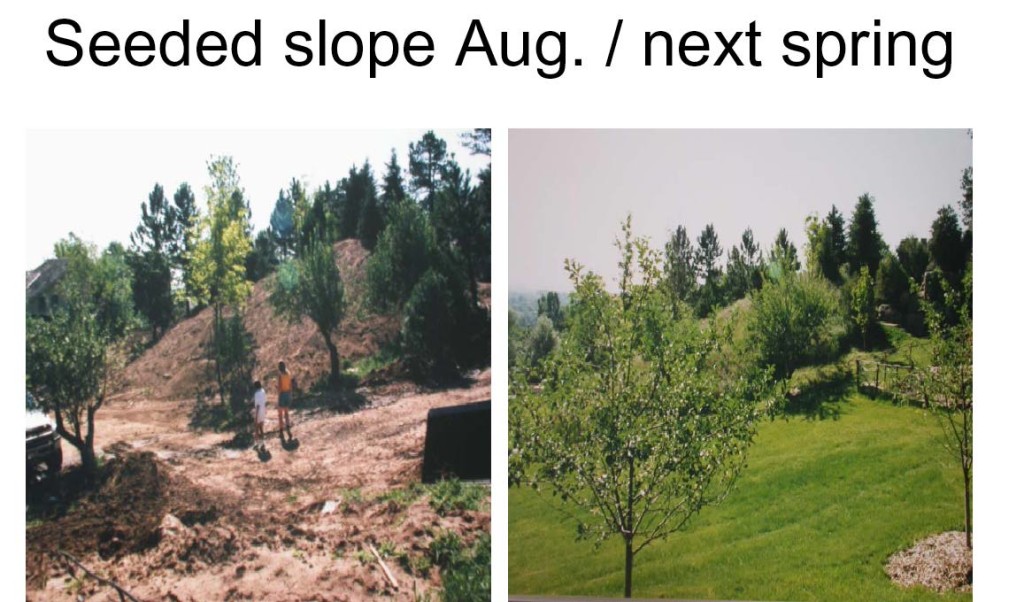 Mycorhizae seeded-slope-with-myc