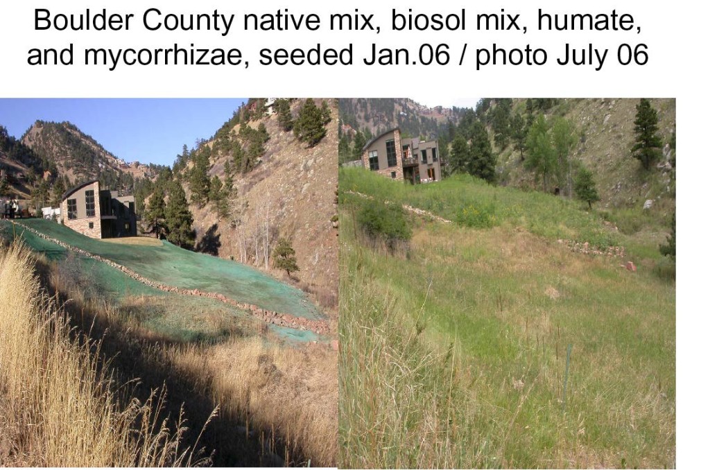 Mycorrhizae Boulder-rehab