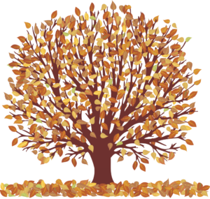 autumn tree